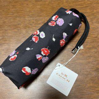 コーチ(COACH)のコーチ　折りたたみ傘　新品(傘)