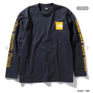 ザノースフェイス(THE NORTH FACE)のノースフェイス ロングスリーブスリーブグラフィックティー　タグ付き新品(Tシャツ/カットソー(七分/長袖))