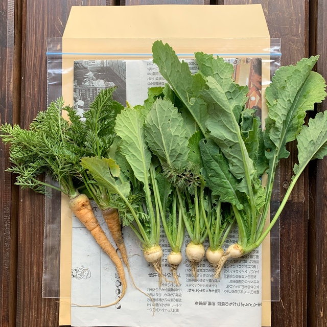 鈴さま専用 食品/飲料/酒の食品(野菜)の商品写真