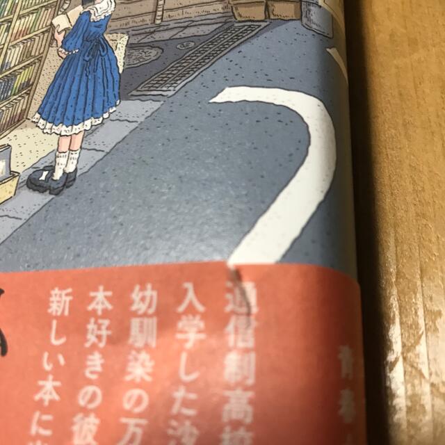 万葉と沙羅 エンタメ/ホビーの本(文学/小説)の商品写真