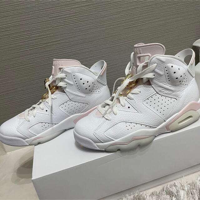 NIKE - ナイキエアジョーダン6レトロnike air jordan 25.5cm即日発送の