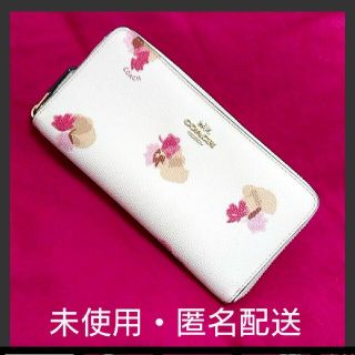 コーチ(COACH)のCOACH 財布 花柄 ホワイト アイボリー チョーク フラワー 白 ピンク 赤(財布)