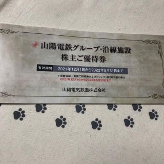 1冊　山陽電鉄　株主優待券(ショッピング)