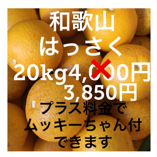 和歌山　はっさく　ご家庭用 食品/飲料/酒の食品(フルーツ)の商品写真