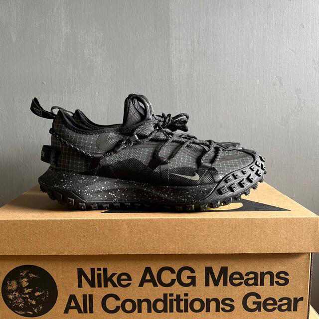 NIKE ACG MOUNTAIN FLY LOW GTX  27センチ