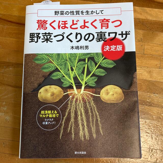 驚くほどよく育つ野菜づくりの裏ワザ決定版 野菜の性質を生かして エンタメ/ホビーの本(趣味/スポーツ/実用)の商品写真