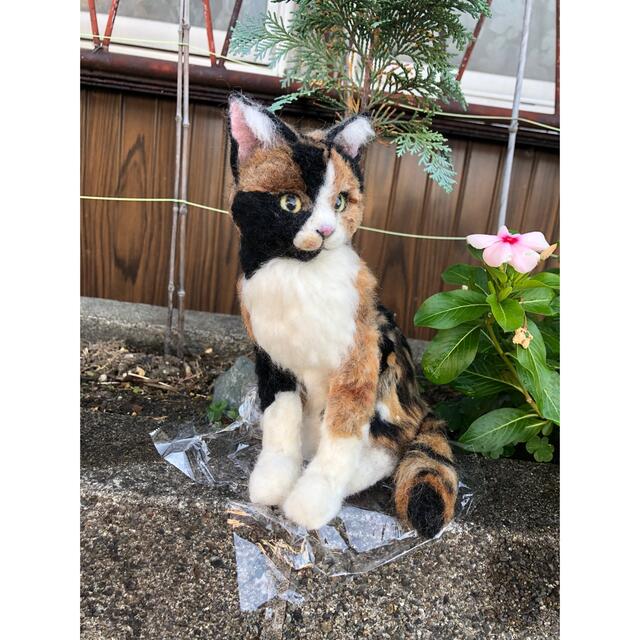 つだけの 羊毛フェルト 三毛猫 日本猫 オーダー受け付けの通販 By ダイヤ もんぞう工房 S Shop ラクマ きます Shineray Com Br つだけの 羊毛フェルト 三毛猫 日本猫 オーダー受け付けの通販 By ダイヤ もんぞう工房 S Shop ラクマ きます Shineray Com Br
