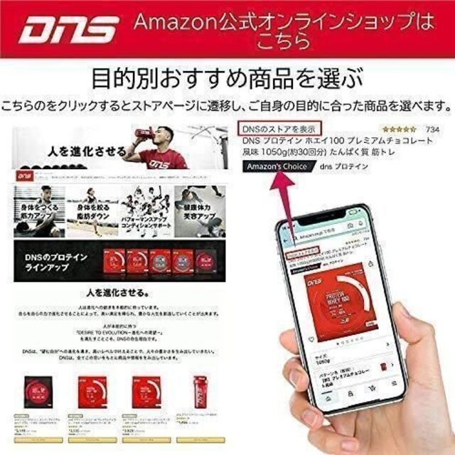 健康食品【3セット】DNS ホエイプロテインSP フルーツミックス味1000gｘ３コ