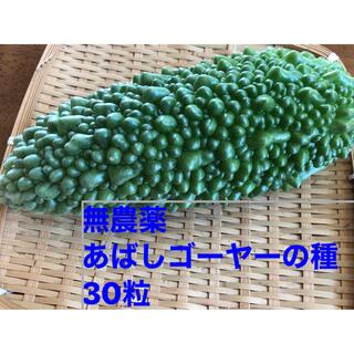 国産　無農薬　あばしゴーヤーの種　30粒(野菜)