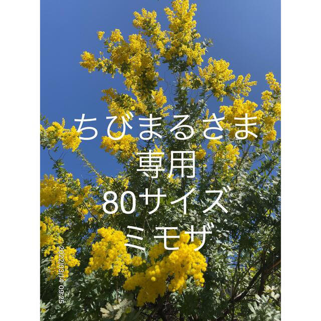 1/14 ちびまるさま専用 フレッシュ ミモザ 80サイズ〜有効期間1/14日中