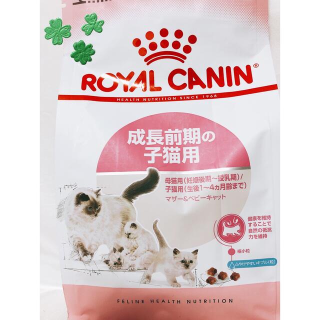 ROYAL CANIN - ロイヤルカナン ドライ400g1袋子猫前期の通販 by