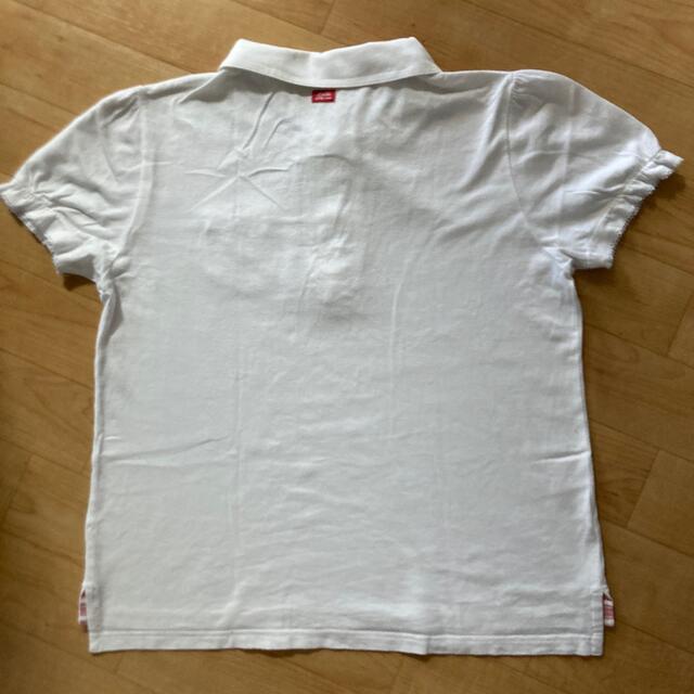 familiar(ファミリア)の女児　used fdash familiar Tシャツ地のポロシャツ　150 キッズ/ベビー/マタニティのキッズ服女の子用(90cm~)(Tシャツ/カットソー)の商品写真