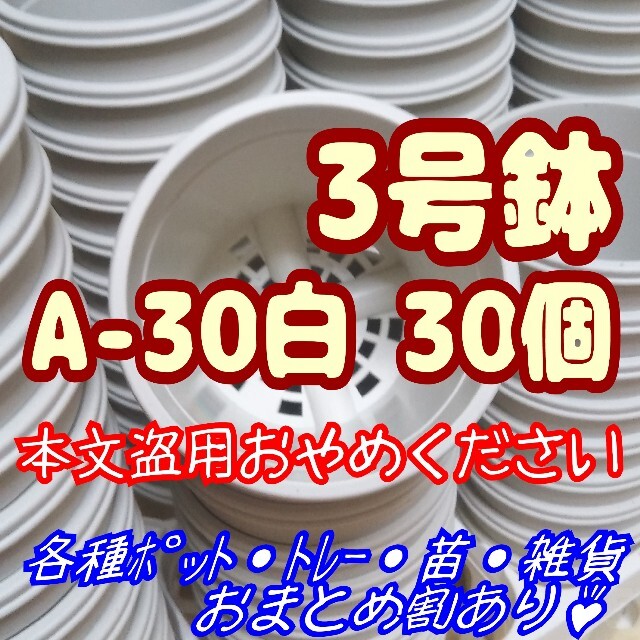 プラ鉢3号鉢【A-30】30個 スリット鉢 丸 プレステラ 多肉植物 ハンドメイドのフラワー/ガーデン(プランター)の商品写真