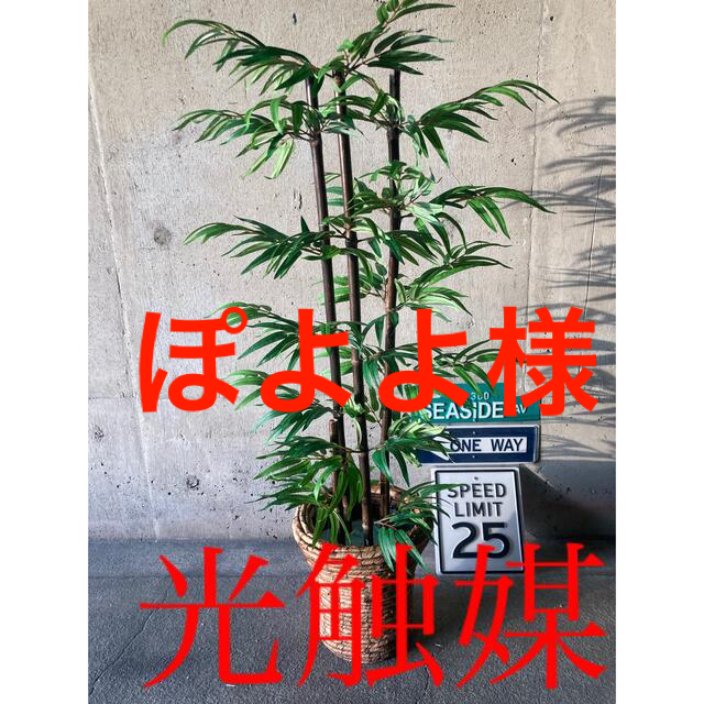 苔♯園芸光触媒　人工観葉植物　ウォールグリーン　フェイク　フラワー　黒竹花器付