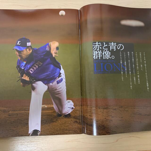プロ野球 ai 2018年 10月号 エンタメ/ホビーの雑誌(趣味/スポーツ)の商品写真