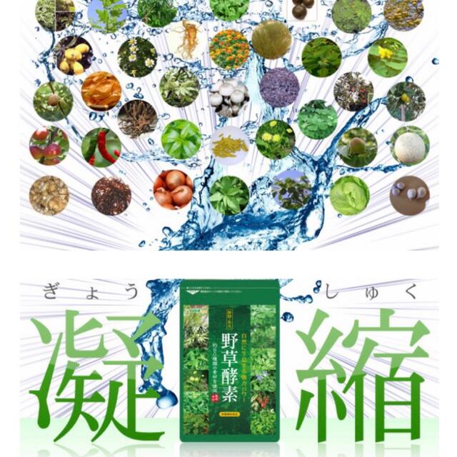 野草酵素 野菜酵素 サプリメント約3ヵ月分 やさい酵素 ダイエット ビタミン 食品/飲料/酒の健康食品(ビタミン)の商品写真