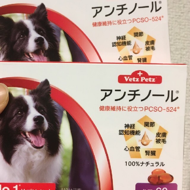 アンチノール　犬用　60粒　2箱〈おまけ付き〉犬