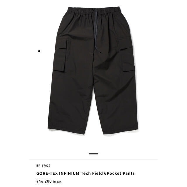 L DAIWA PIER39 GORE-TEX TECH FIELD PANTS