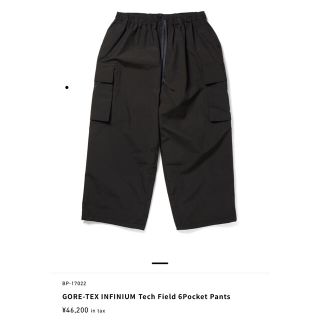 ダイワ(DAIWA)のL DAIWA PIER39 GORE-TEX TECH FIELD PANTS(ワークパンツ/カーゴパンツ)