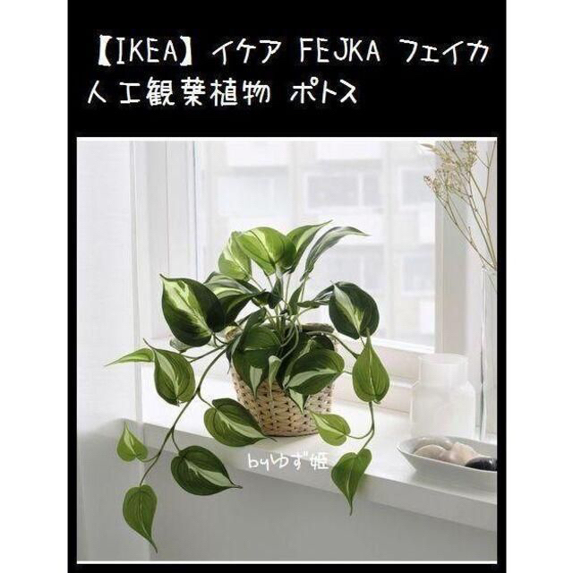 IKEA(イケア)の【IKEA】イケア FEJKA フェイカ 人工観葉植物 ポトス インテリア/住まい/日用品のインテリア小物(置物)の商品写真