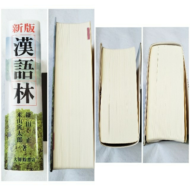 漢語林 漢和 漢字 辞典 辞書 エンタメ/ホビーの本(語学/参考書)の商品写真