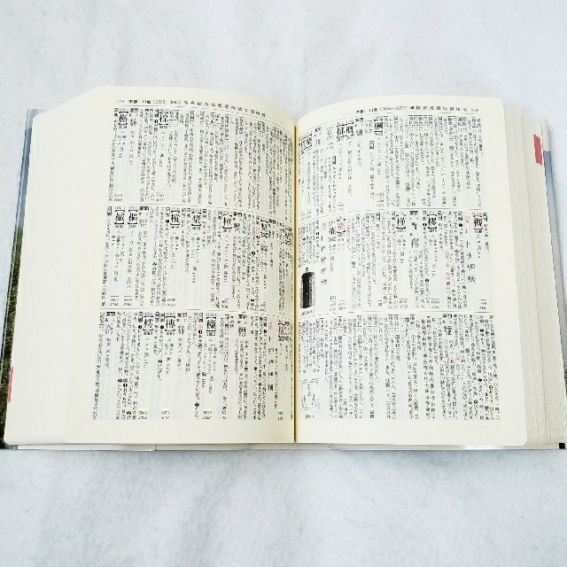 漢語林 漢和 漢字 辞典 辞書 エンタメ/ホビーの本(語学/参考書)の商品写真