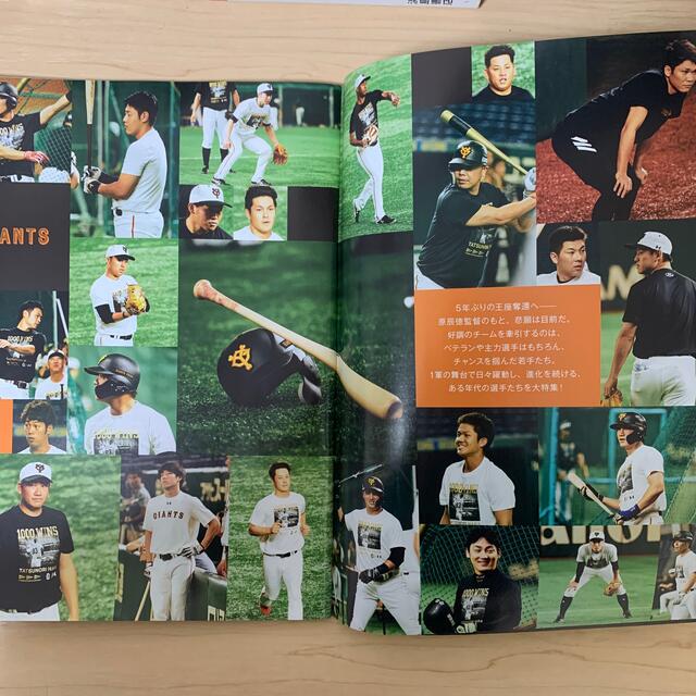 プロ野球 ai 2019年 10月号 エンタメ/ホビーの雑誌(趣味/スポーツ)の商品写真