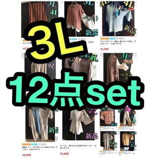 3L位　新品、未使用　 12点セット★まとめ売り、福袋　大きいサイズ(シャツ/ブラウス(長袖/七分))