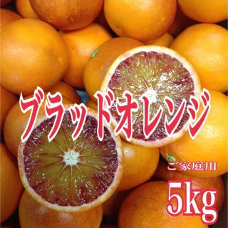 ブラッドオレンジ　5kg 訳あり(フルーツ)