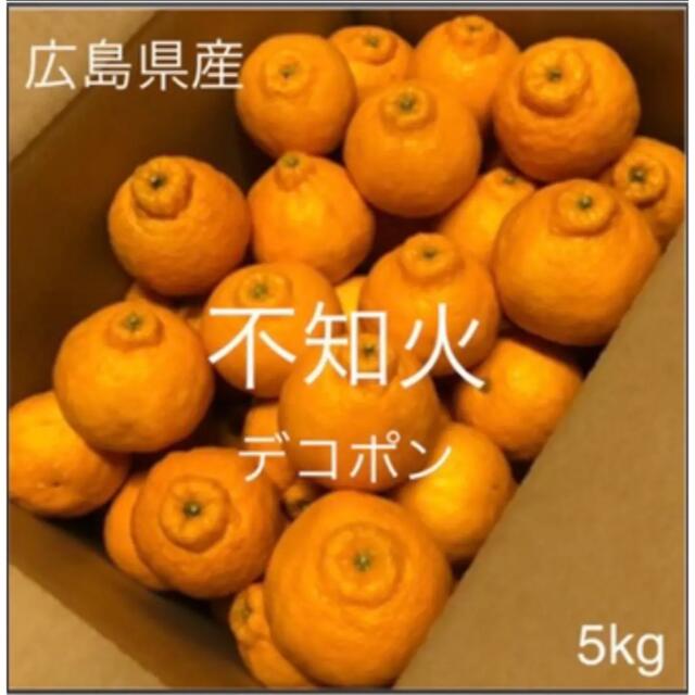 広島県産　不知火　デコポン　 5kg 食品/飲料/酒の食品(フルーツ)の商品写真