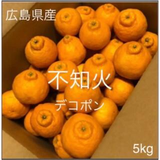 広島県産　不知火　デコポン　 5kg(フルーツ)