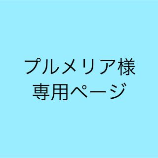 アナップ(ANAP)のプルメリア様専用ページ(トレーナー/スウェット)