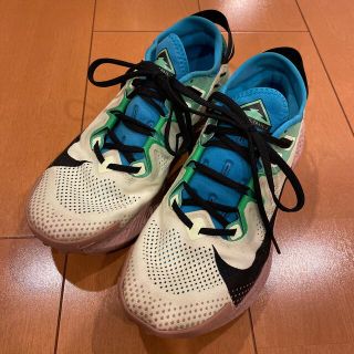 ナイキ(NIKE)のNIKE ナイキ ペガサストレイル2(シューズ)