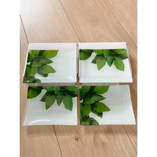 オルビス(ORBIS)の【新品、未使用】【非売品】植物のある生活　ガラスペアプレート　４枚(食器)