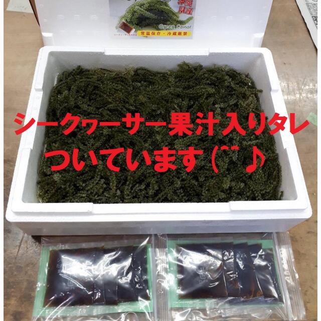 茎付き　生！海ぶどう５００ｇ（シークヮーサー果汁入りタレ付き）おまとめお買得商品 食品/飲料/酒の食品(その他)の商品写真