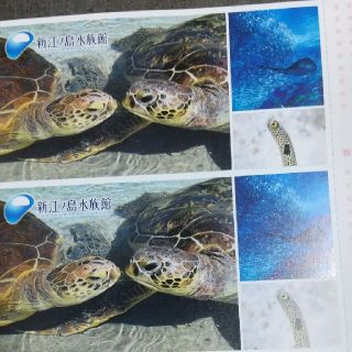 新江ノ島水族館ご招待券×4枚です。即購入オッケーです。(水族館)