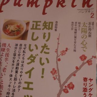 パンプキン2月号(アート/エンタメ/ホビー)