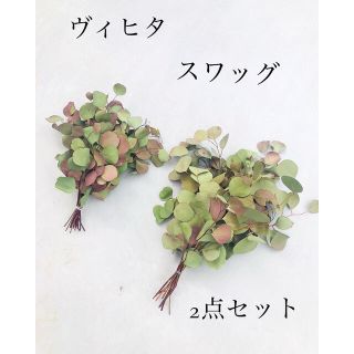 サウナやスワッグに♡ ユーカリのヴィヒタ　ポポラスユーカリ　2点セット(ドライフラワー)