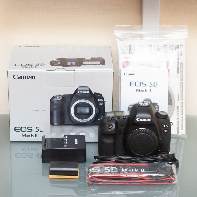 Canon EOS 5D Mark II / シャッター数約37000回