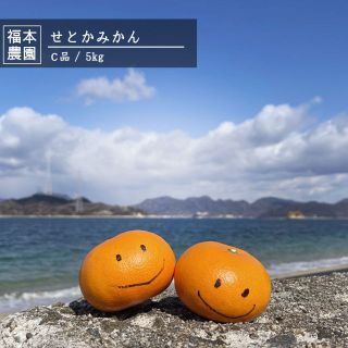 愛媛県産　せとかみかん　訳アリC品　ご家庭用　5kg　農家直送　送料無料　大三島(フルーツ)