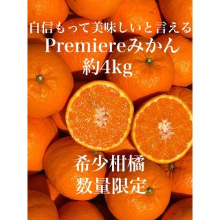 愛媛県産 甘くて美味しいプレミアムみかん  約4kg入 柑橘 果物 ミカン(フルーツ)