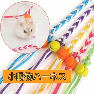 小動物ハーネス リード 小型ペット ハムスター 散歩 お出かけ 調節可能(小動物)