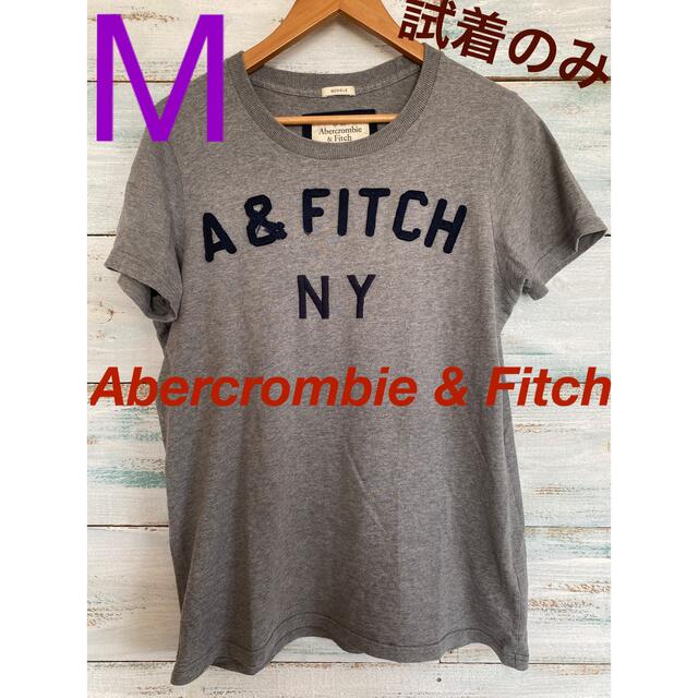 Abercrombie&Fitch(アバクロンビーアンドフィッチ)のAbercrombie & Fitch Tシャツ グレー ビッグロゴ Ꮇ メンズのトップス(Tシャツ/カットソー(半袖/袖なし))の商品写真