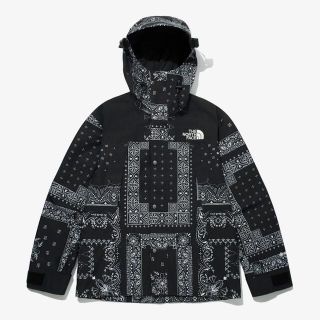 ザノースフェイス(THE NORTH FACE)のNOVELTY GTX 1990 MOUNTAIN JACKET L (マウンテンパーカー)