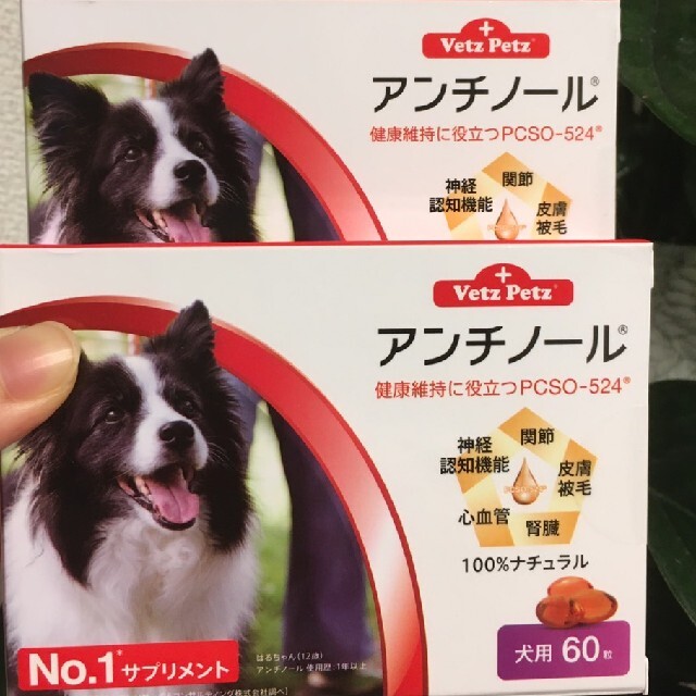 最新品定番 アンチノール 60カプセル入り二箱新品の通販 by サンタ