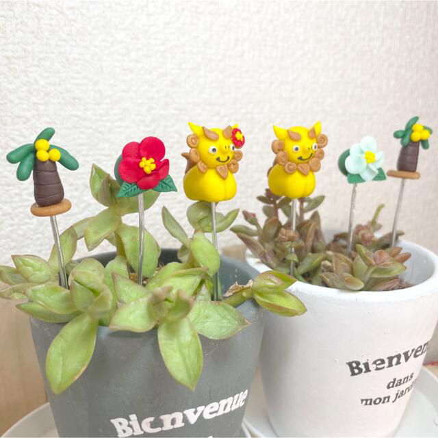 ヤシの実ハンドメイド　ガーデンピック　シーサーピック　多肉植物