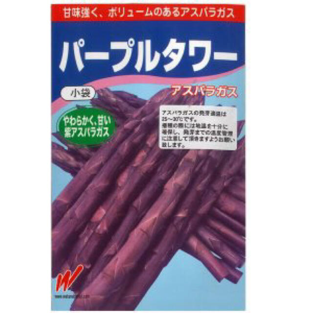 希少 無農薬栽培 紫アスパラガス 大苗2株セット パープルタワー 食品/飲料/酒の食品(野菜)の商品写真