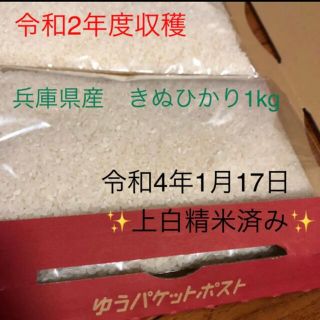 白米　兵庫県産きぬひかり　1kg(米/穀物)