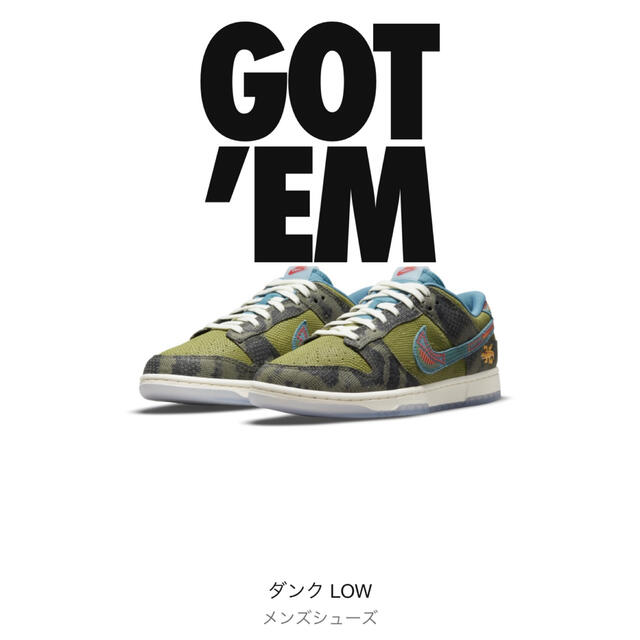 Nike Dunk Low Siempre Familia 26.5のサムネイル