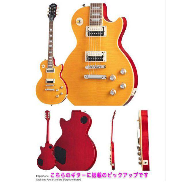 Epiphone(エピフォン)のEpiphone SlashモデルリバースゼブラCustom ProBucker 楽器のギター(エレキギター)の商品写真